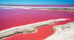 a body of water that is red